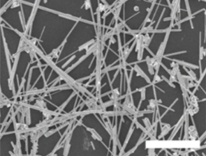 صورة بالمجهر الإلكتروني الماسح SEM تظهر تواصلات السلك النانوي (المقياس 10 ميكرونات)